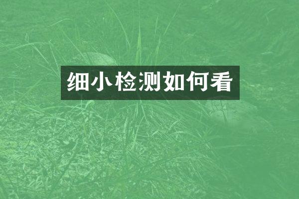 细小检测如何看
