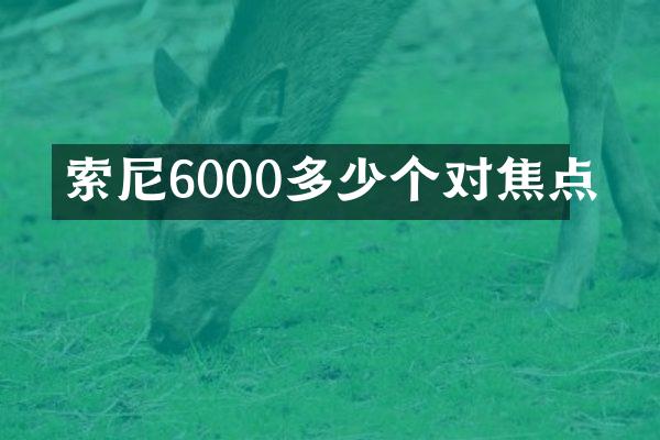索尼6000多少个对焦点