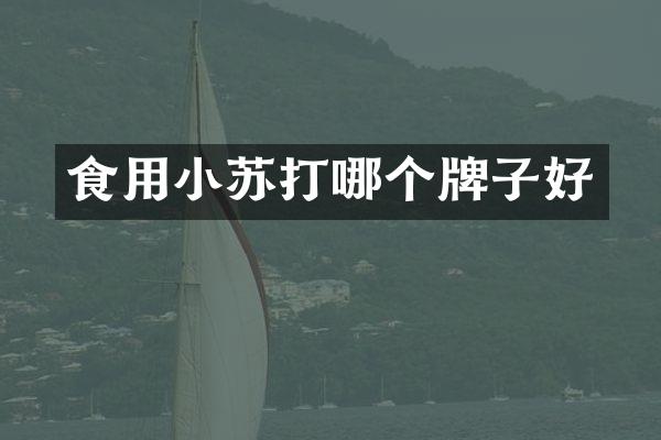 食用小苏打哪个牌子好