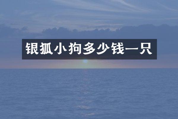 银狐小狗多少钱一只