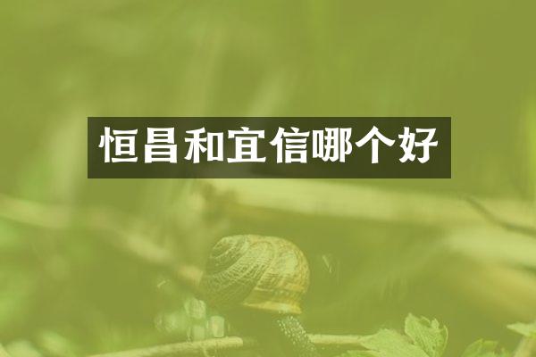 恒昌和宜信哪个好