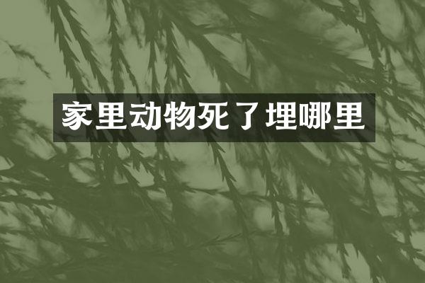 家里动物死了埋哪里
