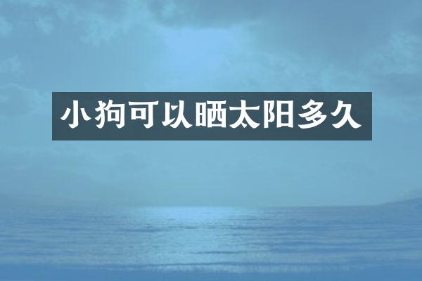 小狗可以晒太阳多久