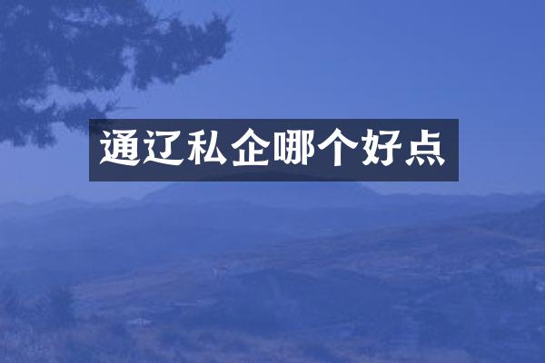 通辽私企哪个好点