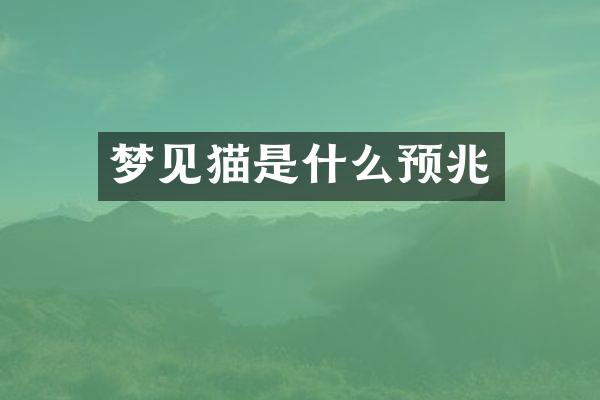 梦见猫是什么预兆
