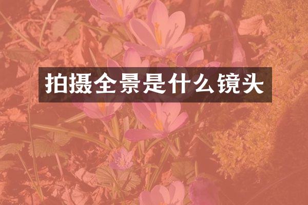 拍摄全景是什么镜头