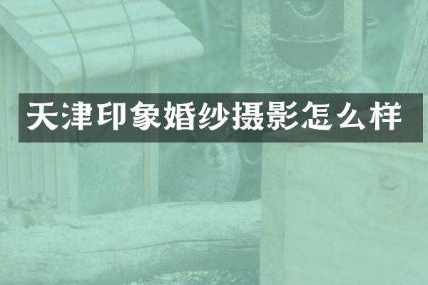 天津印象婚纱摄影怎么样