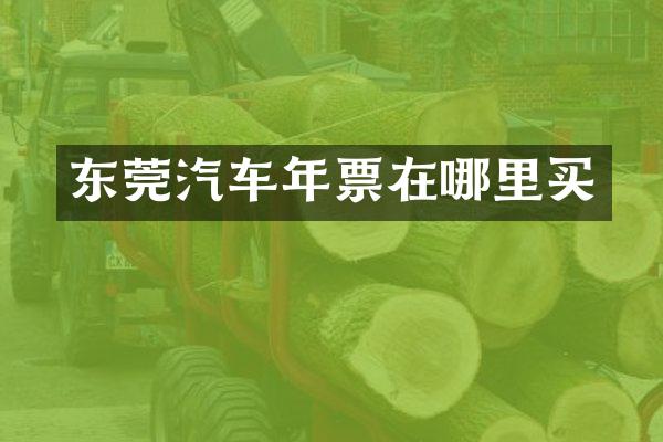 东莞汽车年票在哪里买