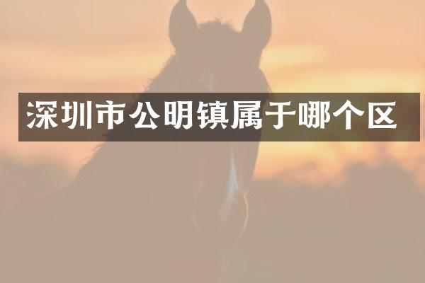 深圳市公明镇属于哪个区