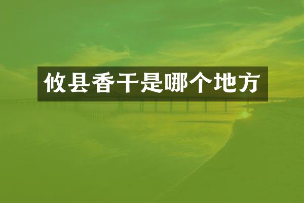 攸县香干是哪个地方