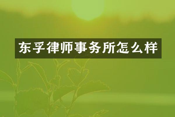 东孚律师事务所怎么样