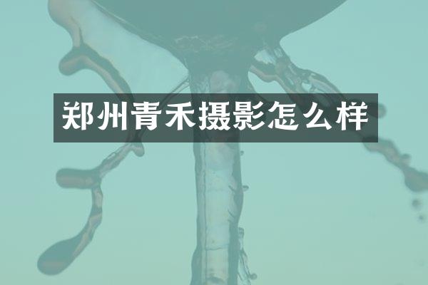 郑州青禾摄影怎么样