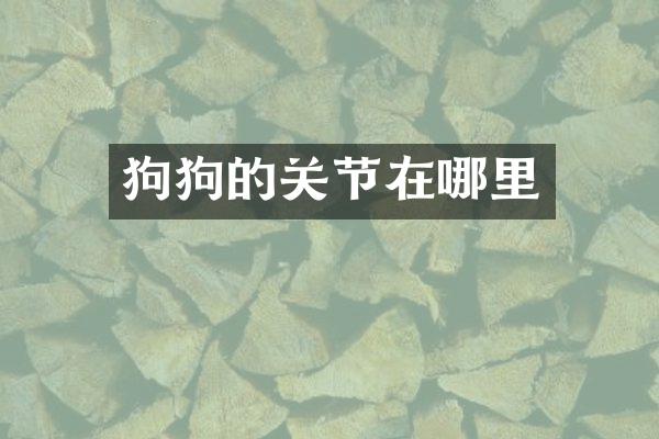狗狗的关节在哪里