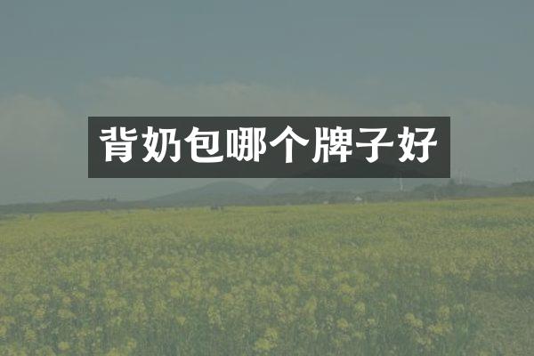 背奶包哪个牌子好