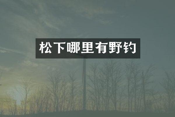 松下哪里有野钓