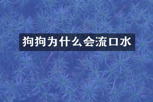 狗狗为什么会流口水