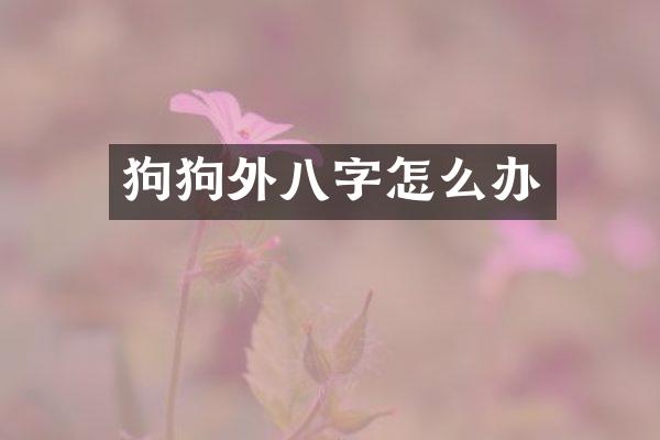狗狗外八字怎么办