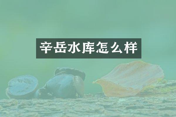 辛岳水库怎么样