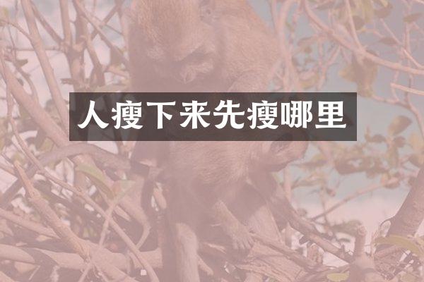 人瘦下来先瘦哪里