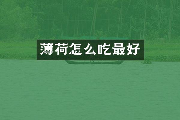 薄荷怎么吃最好