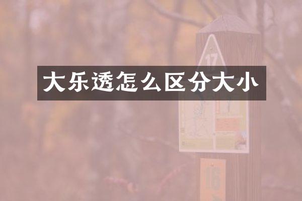 大怎么区分大小