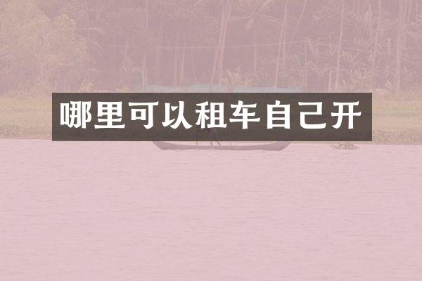 哪里可以租车自己开