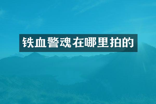 铁血警魂在哪里拍的