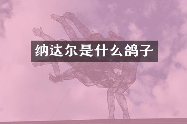 纳达尔是什么鸽子