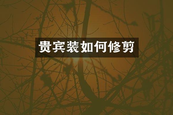 贵宾装如何修剪