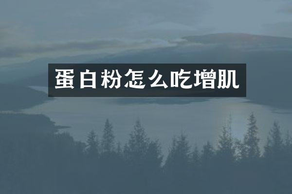 蛋白粉怎么吃增肌