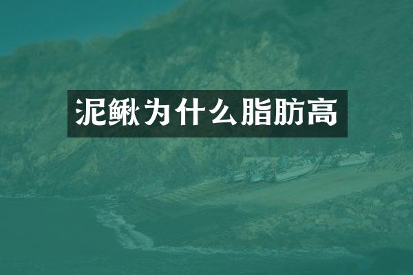 泥鳅为什么脂肪高