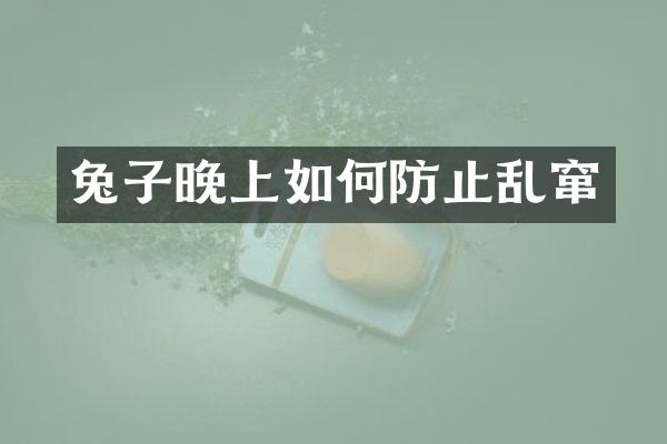 兔子晚上如何防止乱窜