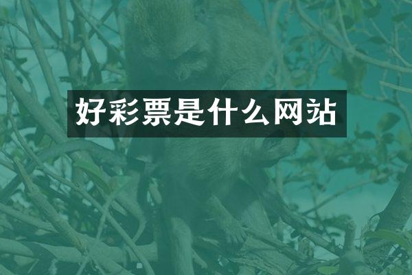 好彩票是什么网站