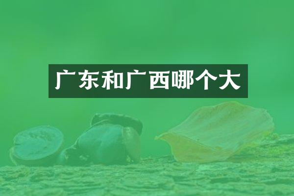 广东和广西哪个大
