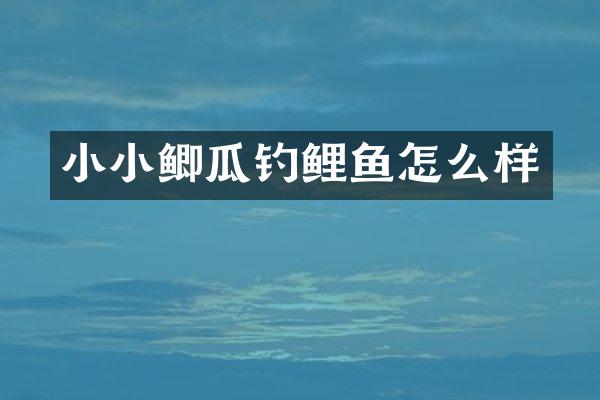 小小鲫瓜钓鲤鱼怎么样