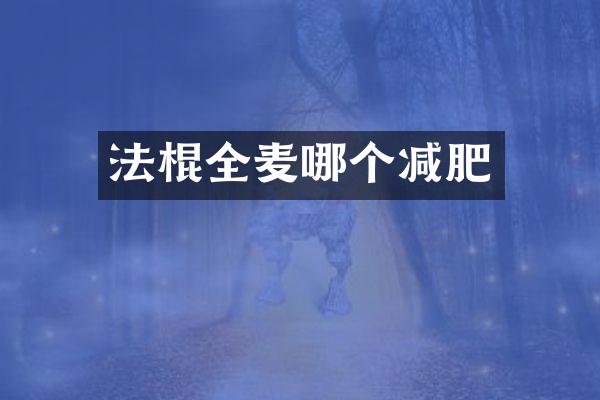 法棍全麦哪个减肥