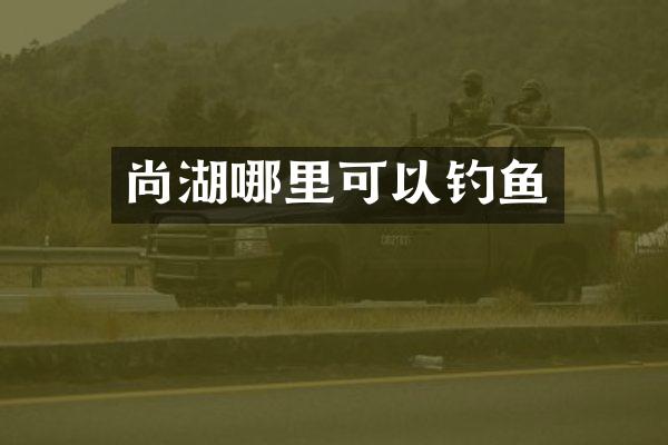 尚湖哪里可以钓鱼