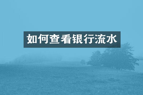 如何查看银行流水