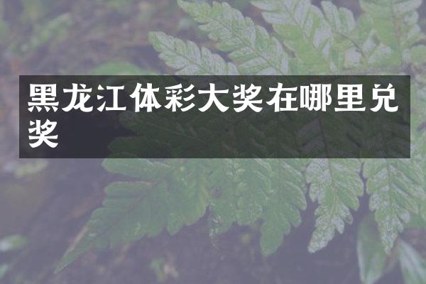 黑龙江体彩大奖在哪里兑奖