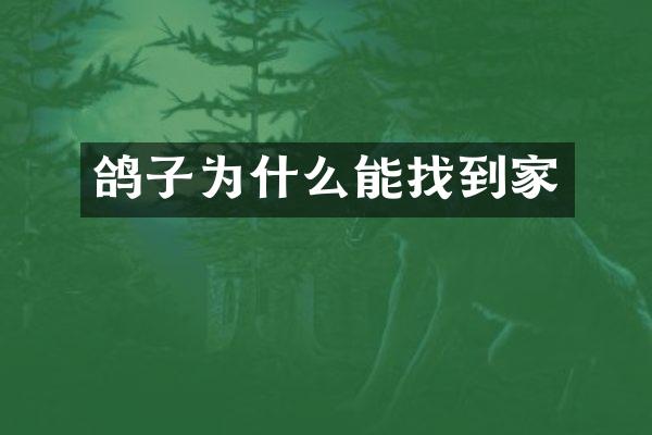 鸽子为什么能找到家