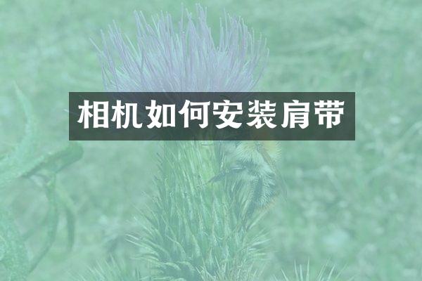 相机如何安装肩带