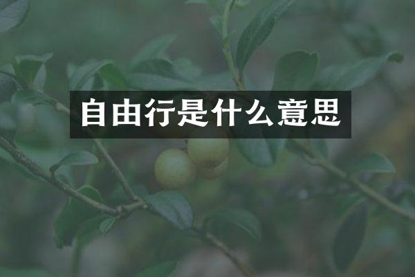自由行是什么意思