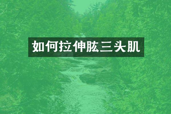 如何拉伸肱三头肌