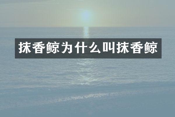 抹香鲸为什么叫抹香鲸
