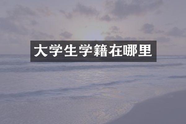大学生学籍在哪里