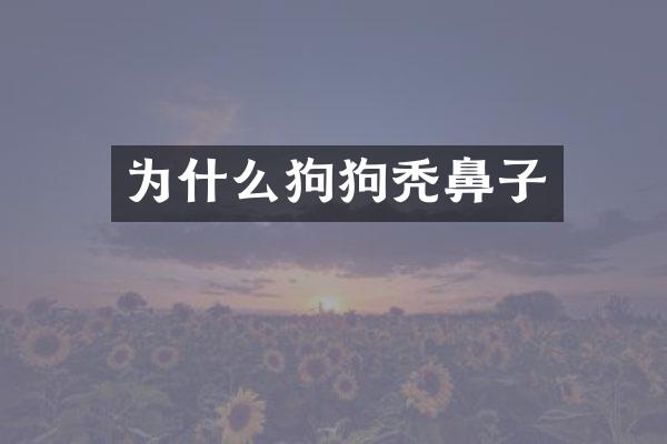 为什么狗狗秃鼻子