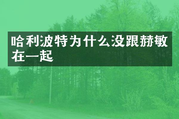 哈利波特为什么没跟赫敏在一起