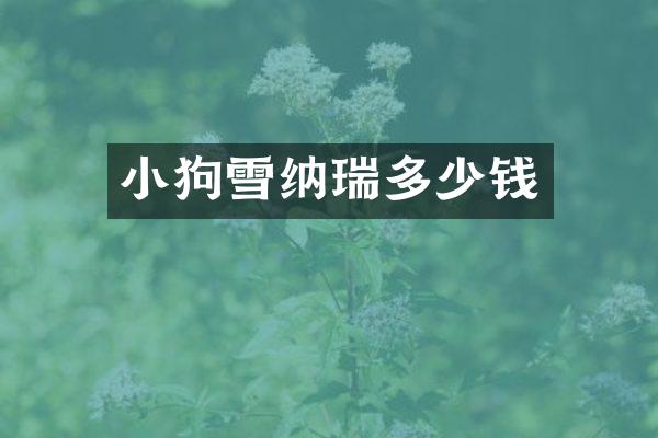 小狗雪纳瑞多少钱