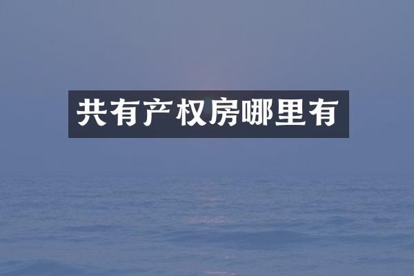 共有产权房哪里有