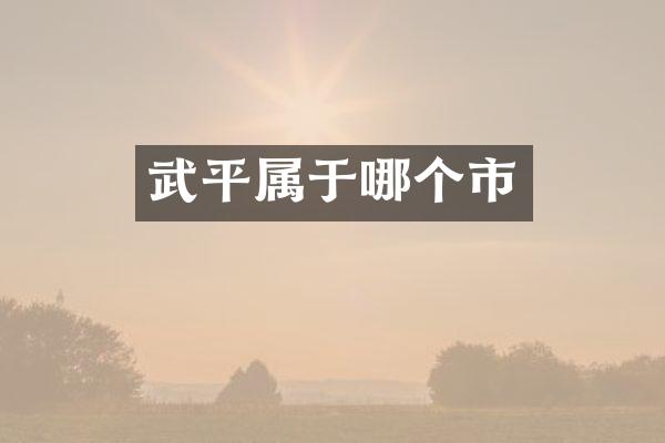 武平属于哪个市